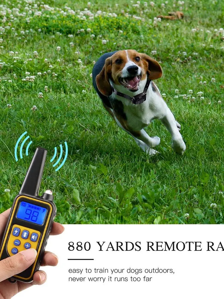 800m Digital Dog Training Collar Waterproof Rechargeable Remote Control Pet with LCD Display for All Size Shock Vibration Sound