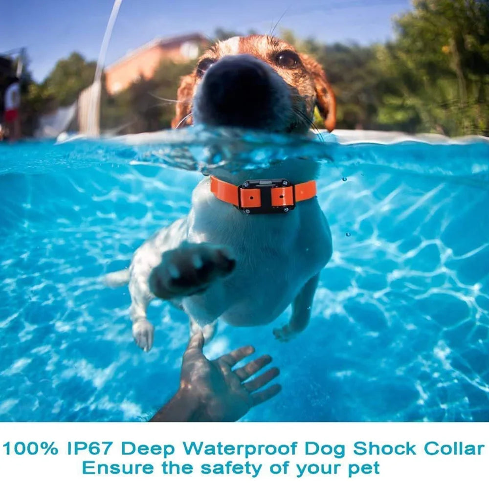 800m Digital Dog Training Collar Waterproof Rechargeable Remote Control Pet with LCD Display for All Size Shock Vibration Sound